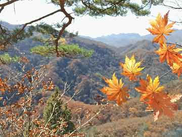 肖建华最新旅程揭秘，探索自然美景，寻找内心平静的力量进展更新