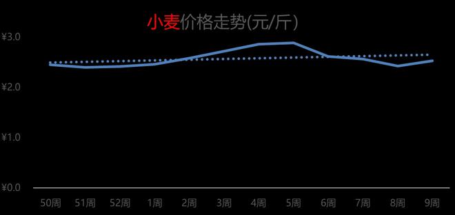 济南小麦价格最新动态，变化中的学习，成就感的源泉