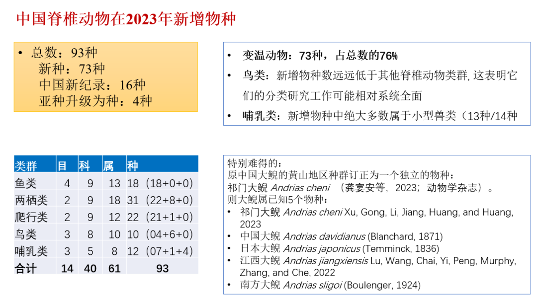 物类最新动态，掌握潮流尖端资讯，尽览无遗！