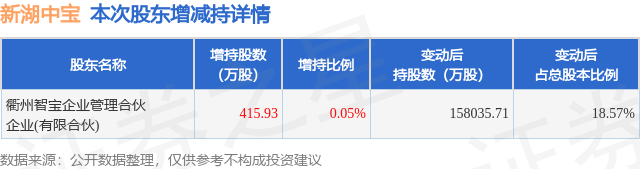 新湖中宝未来新篇章揭秘，最新公告引领发展之路✨