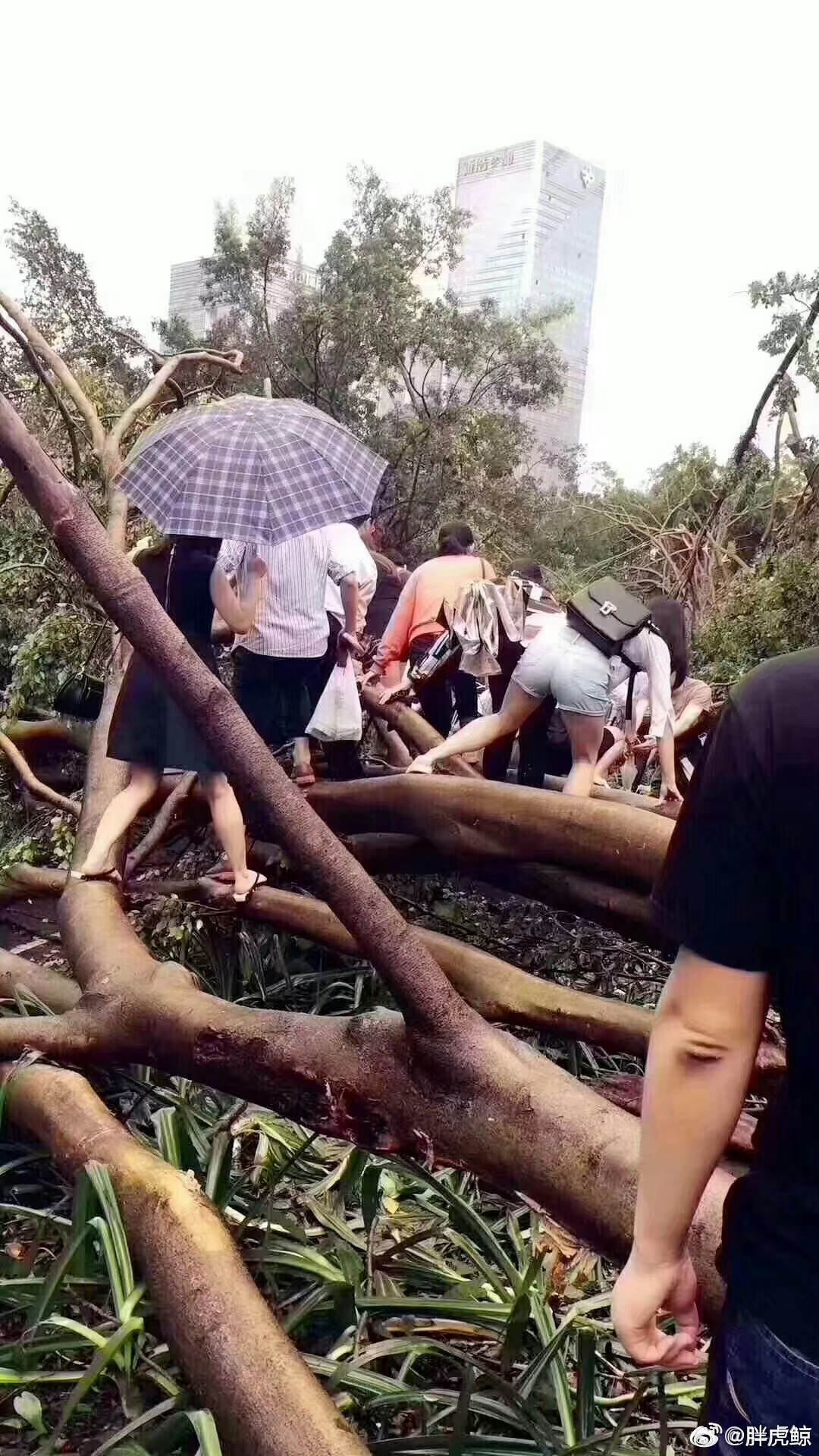 最新台风现场消息