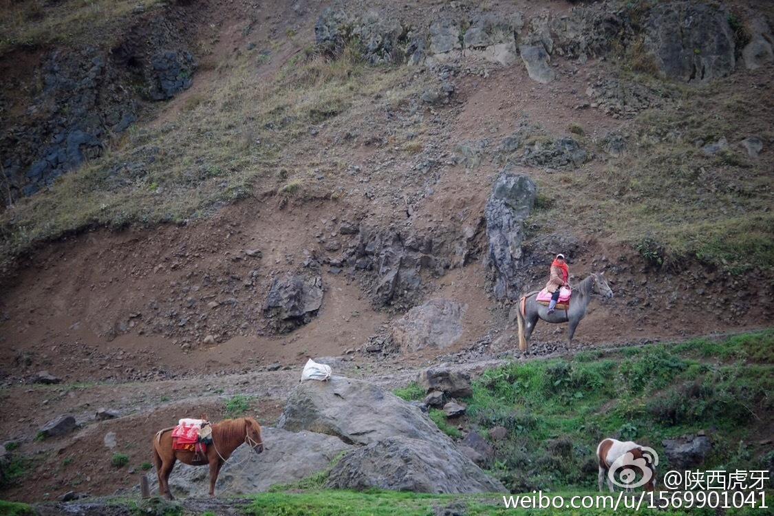 大山包最新旅游信息